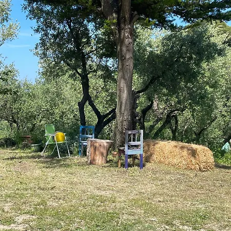 Tatil Evi Nora Rech *