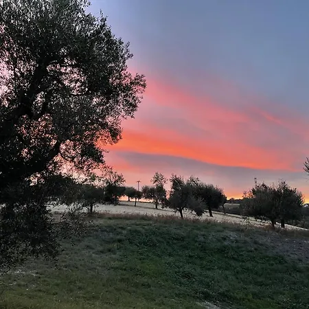 Nora Rech Casa vacanze SantʼElpidio a Mare